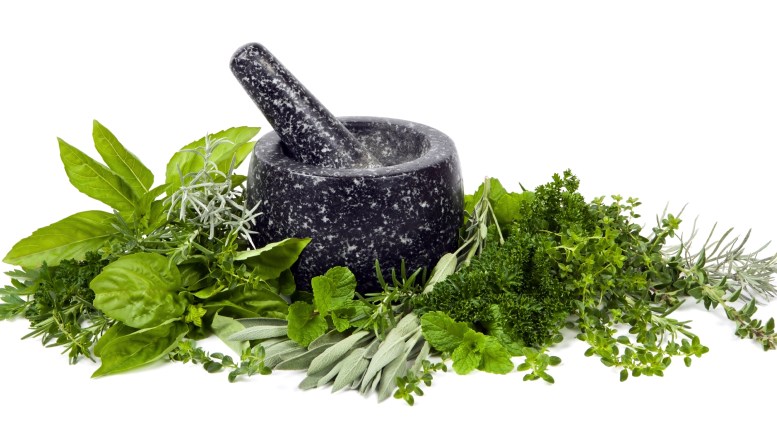 Mortar and Pestle with Fresh Herbs over White